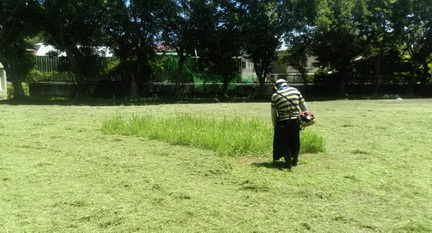 台南東區除草，台南東區割草