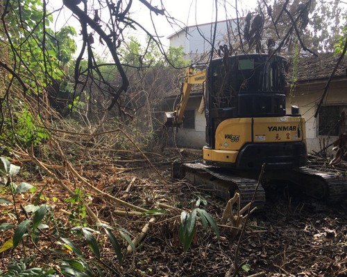 台南善化環境整理, 台南善化鋸樹, 台南善化空屋除草, 台南善化樹木雜草廢棄物清運, 
                    台南善化空地除草, 台南善化除草鋸樹, 台南善化代客除草, 台南善化除(割)草作業, 台南善化割草, 台南善化除草, 台南善化割草整地, 台南善化除草整地, 台南善化空地除草價格, 台南善化除草工, 
                    台南善化整地除草費用, 台南善化空地割草, 台南善化整地除草, 台南善化空地除草