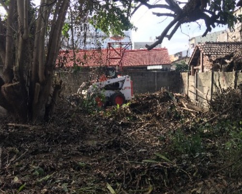 台南環境整理, 台南鋸樹, 台南空屋除草, 台南樹木雜草廢棄物清運, 
                    台南空地除草, 台南除草鋸樹, 台南代客除草, 台南除(割)草作業, 台南割草, 台南除草, 台南割草整地, 台南除草整地, 台南空地除草價格, 台南除草工, 
                    台南整地除草費用, 台南空地割草, 台南整地除草, 台南空地除草