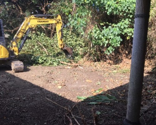 台南環境整理, 台南鋸樹, 台南空屋除草, 台南樹木雜草廢棄物清運, 
                    台南空地除草, 台南除草鋸樹, 台南代客除草, 台南除(割)草作業, 台南割草, 台南除草, 台南割草整地, 台南除草整地, 台南空地除草價格, 台南除草工, 
                    台南整地除草費用, 台南空地割草, 台南整地除草, 台南空地除草