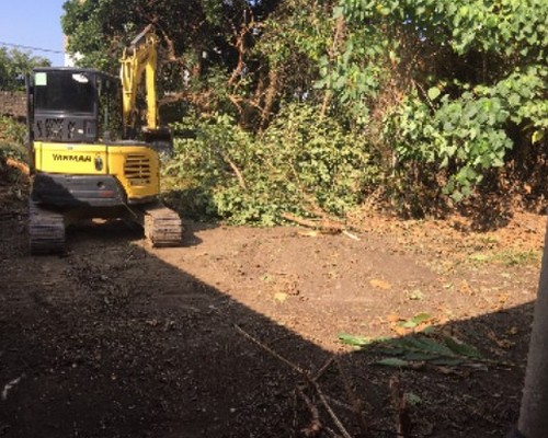 台南善化環境整理, 台南善化鋸樹, 台南善化空屋除草, 台南善化樹木雜草廢棄物清運, 
                    台南善化空地除草, 台南善化除草鋸樹, 台南善化代客除草, 台南善化除(割)草作業, 台南善化割草, 台南善化除草, 台南善化割草整地, 台南善化除草整地, 台南善化空地除草價格, 台南善化除草工, 
                    台南善化整地除草費用, 台南善化空地割草, 台南善化整地除草, 台南善化空地除草