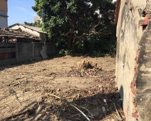 台南善化環境整理, 台南善化鋸樹, 台南善化空屋除草, 台南善化樹木雜草廢棄物清運, 
                    台南善化空地除草, 台南善化除草鋸樹, 台南善化代客除草, 台南善化除(割)草作業, 台南善化割草, 台南善化除草, 台南善化割草整地, 台南善化除草整地, 台南善化空地除草價格, 台南善化除草工, 
                    台南善化整地除草費用, 台南善化空地割草, 台南善化整地除草, 台南善化空地除草