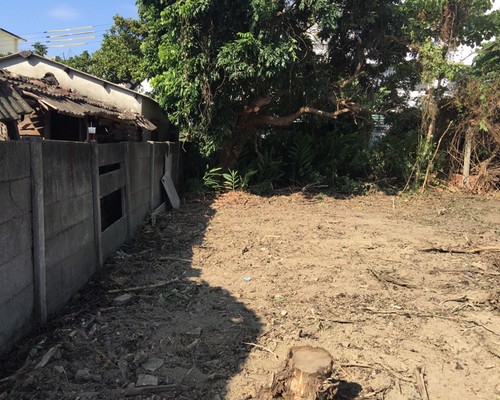 台南環境整理, 台南鋸樹, 台南空屋除草, 台南樹木雜草廢棄物清運, 
                    台南空地除草, 台南除草鋸樹, 台南代客除草, 台南除(割)草作業, 台南割草, 台南除草, 台南割草整地, 台南除草整地, 台南空地除草價格, 台南除草工, 
                    台南整地除草費用, 台南空地割草, 台南整地除草, 台南空地除草