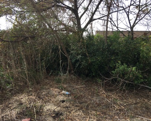 台南土地鑑界除草, 台南鑑界除草, 台南環境清理, 台南重劃土地除草, 台南園區空地除草, 台南除草鋸樹, 台南道路除草, 
    	台南代客除草, 台南除(割)草作業, 台南割草, 台南除草, 台南割草整地, 台南除草整地, 台南空地除草價格, 台南除草工, 台南整地除草費用, 台南空地割草, 台南整地除草