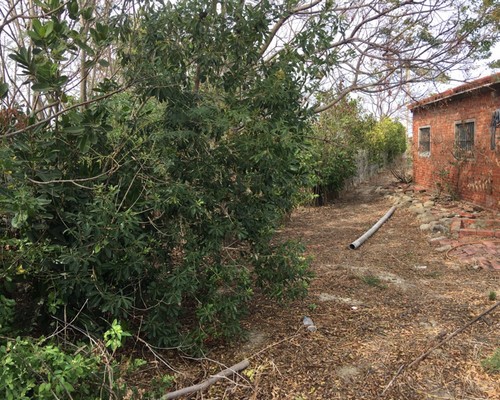台南將軍區土地鑑界除草, 台南將軍區鑑界除草, 台南將軍區環境清理, 台南將軍區重劃土地除草, 台南將軍區園區空地除草, 台南將軍區除草鋸樹, 台南將軍區道路除草, 
    	台南將軍區代客除草, 台南將軍區除(割)草作業, 台南將軍區割草, 台南將軍區除草, 台南將軍區割草整地, 台南將軍區除草整地, 台南將軍區空地除草價格, 台南將軍區除草工, 台南將軍區整地除草費用, 台南將軍區空地割草, 台南將軍區整地除草