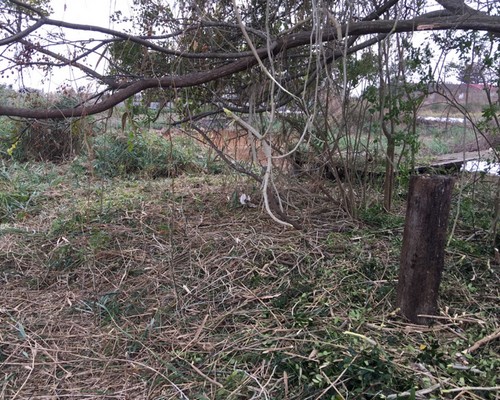 台南土地鑑界除草, 台南鑑界除草, 台南環境清理, 台南重劃土地除草, 台南園區空地除草, 台南除草鋸樹, 台南道路除草, 
    	台南代客除草, 台南除(割)草作業, 台南割草, 台南除草, 台南割草整地, 台南除草整地, 台南空地除草價格, 台南除草工, 台南整地除草費用, 台南空地割草, 台南整地除草