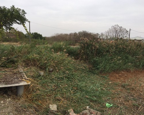 台南土地鑑界除草, 台南鑑界除草, 台南環境清理, 台南重劃土地除草, 台南園區空地除草, 台南除草鋸樹, 台南道路除草, 
    	台南代客除草, 台南除(割)草作業, 台南割草, 台南除草, 台南割草整地, 台南除草整地, 台南空地除草價格, 台南除草工, 台南整地除草費用, 台南空地割草, 台南整地除草