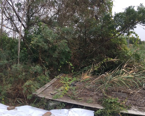 台南將軍區土地鑑界除草, 台南將軍區鑑界除草, 台南將軍區環境清理, 台南將軍區重劃土地除草, 台南將軍區園區空地除草, 台南將軍區除草鋸樹, 台南將軍區道路除草, 
    	台南將軍區代客除草, 台南將軍區除(割)草作業, 台南將軍區割草, 台南將軍區除草, 台南將軍區割草整地, 台南將軍區除草整地, 台南將軍區空地除草價格, 台南將軍區除草工, 台南將軍區整地除草費用, 台南將軍區空地割草, 台南將軍區整地除草