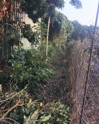 台南太陽能埸除草, 台南太陽能埸鋸樹, 台南環境整理, 台南鋸樹, 台南除草鋸樹, 
                    台南代客除草, 台南除(割)草作業, 台南割草, 台南除草, 台南割草整地, 台南除草整地, 台南除草工, 台南整地除草費用, 台南空地割草, 台南整地除草, 
                    台南空地除草