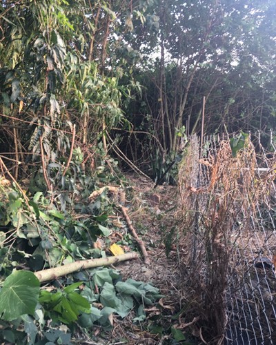 台南太陽能埸除草, 台南太陽能埸鋸樹, 台南環境整理, 台南鋸樹, 台南除草鋸樹, 
                    台南代客除草, 台南除(割)草作業, 台南割草, 台南除草, 台南割草整地, 台南除草整地, 台南除草工, 台南整地除草費用, 台南空地割草, 台南整地除草, 
                    台南空地除草