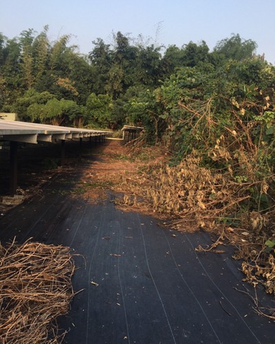 台南太陽能埸除草, 台南太陽能埸鋸樹, 台南環境整理, 台南鋸樹, 台南除草鋸樹, 
                    台南代客除草, 台南除(割)草作業, 台南割草, 台南除草, 台南割草整地, 台南除草整地, 台南除草工, 台南整地除草費用, 台南空地割草, 台南整地除草, 
                    台南空地除草