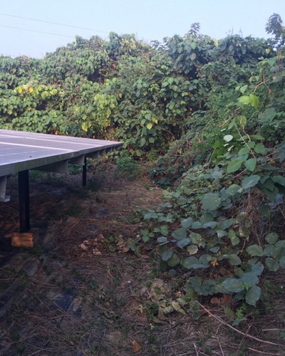 台南太陽能埸除草, 台南太陽能埸鋸樹, 台南環境整理, 台南鋸樹, 台南除草鋸樹, 
                    台南代客除草, 台南除(割)草作業, 台南割草, 台南除草, 台南割草整地, 台南除草整地, 台南除草工, 台南整地除草費用, 台南空地割草, 台南整地除草, 
                    台南空地除草