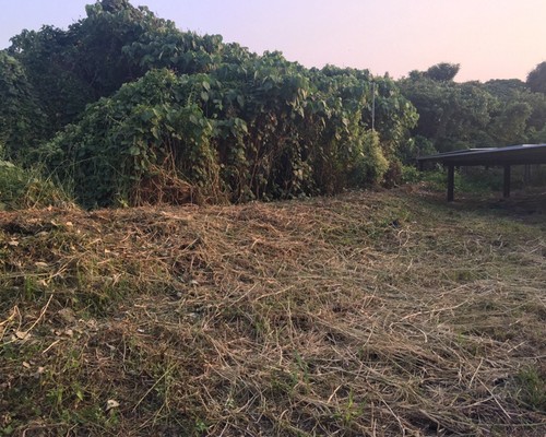 台南太陽能埸除草, 台南太陽能埸鋸樹, 台南環境整理, 台南鋸樹, 台南除草鋸樹, 
                    台南代客除草, 台南除(割)草作業, 台南割草, 台南除草, 台南割草整地, 台南除草整地, 台南除草工, 台南整地除草費用, 台南空地割草, 台南整地除草, 
                    台南空地除草