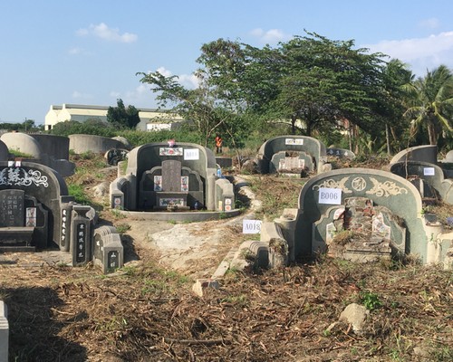 台南墓地除草, 台南墓地鋸樹, 台南環境整理, 台南鋸樹, 台南除草鋸樹, 
                    台南代客除草, 台南除(割)草作業, 台南割草, 台南除草, 台南割草整地, 台南除草整地, 台南除草工, 台南整地除草費用, 台南空地割草, 台南整地除草, 
                    台南空地除草