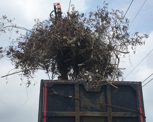 台南新市墓地除草, 台南新市墓地鋸樹, 台南新市環境整理, 台南新市鋸樹, 台南新市除草鋸樹, 
                    台南新市代客除草, 台南新市除(割)草作業, 台南新市割草, 台南新市除草, 台南新市割草整地, 台南新市除草整地, 台南新市除草工, 台南新市整地除草費用, 台南新市空地割草, 台南新市整地除草, 
                    台南新市空地除草