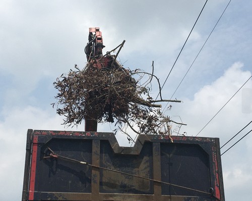 台南墓地除草, 台南墓地鋸樹, 台南環境整理, 台南鋸樹, 台南除草鋸樹, 
                    台南代客除草, 台南除(割)草作業, 台南割草, 台南除草, 台南割草整地, 台南除草整地, 台南除草工, 台南整地除草費用, 台南空地割草, 台南整地除草, 
                    台南空地除草