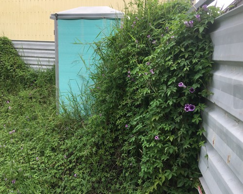 台南建地除草, 台南建地割草, 台南環境清理, 台南除草景觀工程, 台南重劃土地除草, 台南果樹農地除草, 台南園區空地除草, 台南除草鋸樹, 台南墓地清理, 台南道路除草, 
    	台南圍籬工程除草, 台南代客除草, 台南除(割)草作業, 台南割草, 台南除草, 台南割草整地, 台南除草整地, 台南空地除草價格, 台南除草工, 台南整地除草費用, 
        台南空地割草, 台南整地除草, 台南空地除草