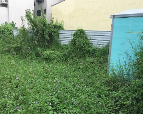 台南建地除草, 台南建地割草, 台南環境清理, 台南除草景觀工程, 台南重劃土地除草, 台南果樹農地除草, 台南園區空地除草, 台南除草鋸樹, 台南墓地清理, 台南道路除草, 
    	台南圍籬工程除草, 台南代客除草, 台南除(割)草作業, 台南割草, 台南除草, 台南割草整地, 台南除草整地, 台南空地除草價格, 台南除草工, 台南整地除草費用, 
        台南空地割草, 台南整地除草, 台南空地除草