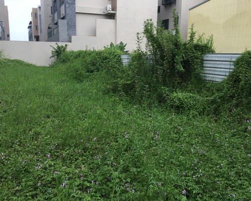 台南建地除草, 台南建地割草, 台南環境清理, 台南除草景觀工程, 台南重劃土地除草, 台南果樹農地除草, 台南園區空地除草, 台南除草鋸樹, 台南墓地清理, 台南道路除草, 
    	台南圍籬工程除草, 台南代客除草, 台南除(割)草作業, 台南割草, 台南除草, 台南割草整地, 台南除草整地, 台南空地除草價格, 台南除草工, 台南整地除草費用, 
        台南空地割草, 台南整地除草, 台南空地除草