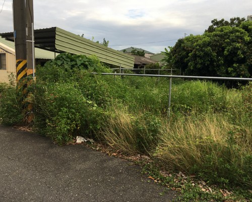 台南割草, 台南除草, 台南割草整地, 台南除草整地, 台南代客除草, 台南空地除草價格, 台南除草工, 台南整地除草費用, 
        台南建地割草, 台南整地除草, 台南建地除草