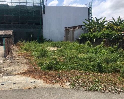 台南鋸樹清運, 台南環境整理, 台南鋸樹, 台南除草鋸樹, 
                    台南代客除草, 台南除(割)草作業, 台南割草, 台南除草, 台南割草整地, 台南除草整地, 台南除草工, 台南整地除草費用, 台南空地割草, 台南整地除草, 
                    台南空地除草