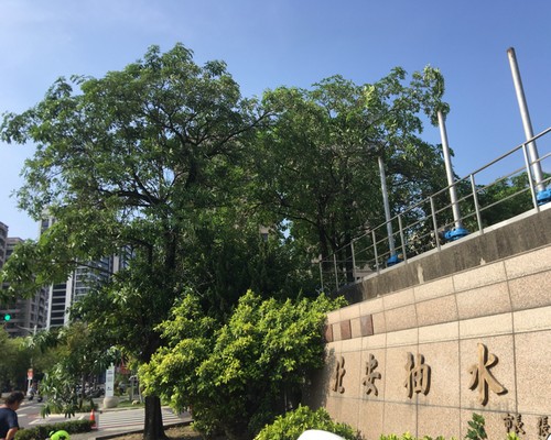 台南鋸樹清運, 台南環境整理, 台南鋸樹, 台南除草鋸樹, 
                    台南代客除草, 台南除(割)草作業, 台南割草, 台南除草, 台南割草整地, 台南除草整地, 台南除草工, 台南整地除草費用, 台南空地割草, 台南整地除草, 
                    台南空地除草