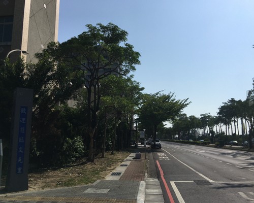 台南鋸樹清運, 台南環境整理, 台南鋸樹, 台南除草鋸樹, 
                    台南代客除草, 台南除(割)草作業, 台南割草, 台南除草, 台南割草整地, 台南除草整地, 台南除草工, 台南整地除草費用, 台南空地割草, 台南整地除草, 
                    台南空地除草