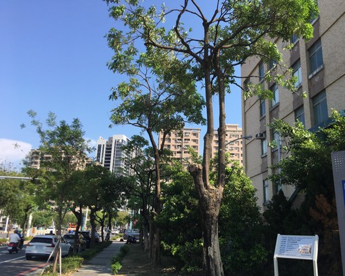 台南中西區鋸樹清運, 台南中西區環境整理, 台南中西區鋸樹, 台南中西區除草鋸樹, 
                    台南中西區代客除草, 台南中西區除(割)草作業, 台南中西區割草, 台南中西區除草, 台南中西區割草整地, 台南中西區除草整地, 台南中西區除草工, 台南中西區整地除草費用, 台南中西區空地割草, 台南中西區整地除草, 
                    台南中西區空地除草