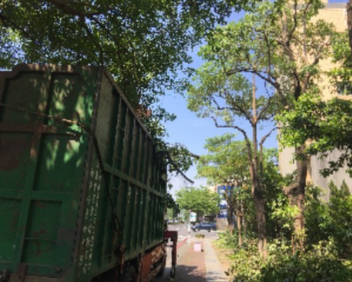 台南鋸樹清運, 台南環境整理, 台南鋸樹, 台南除草鋸樹, 
                    台南代客除草, 台南除(割)草作業, 台南割草, 台南除草, 台南割草整地, 台南除草整地, 台南除草工, 台南整地除草費用, 台南空地割草, 台南整地除草, 
                    台南空地除草