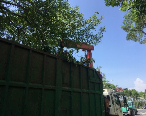 台南鋸樹清運, 台南環境整理, 台南鋸樹, 台南除草鋸樹, 
                    台南代客除草, 台南除(割)草作業, 台南割草, 台南除草, 台南割草整地, 台南除草整地, 台南除草工, 台南整地除草費用, 台南空地割草, 台南整地除草, 
                    台南空地除草