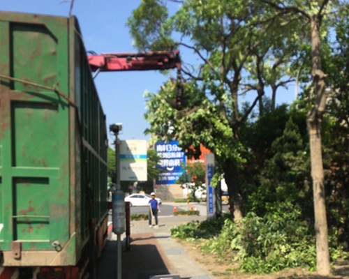 台南鋸樹清運, 台南環境整理, 台南鋸樹, 台南除草鋸樹, 
                    台南代客除草, 台南除(割)草作業, 台南割草, 台南除草, 台南割草整地, 台南除草整地, 台南除草工, 台南整地除草費用, 台南空地割草, 台南整地除草, 
                    台南空地除草