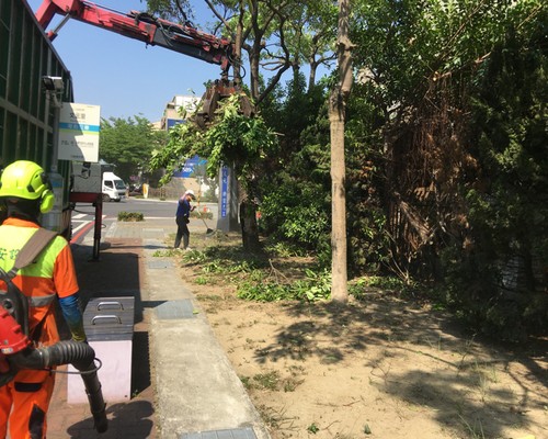 台南鋸樹清運, 台南環境整理, 台南鋸樹, 台南除草鋸樹, 
                    台南代客除草, 台南除(割)草作業, 台南割草, 台南除草, 台南割草整地, 台南除草整地, 台南除草工, 台南整地除草費用, 台南空地割草, 台南整地除草, 
                    台南空地除草