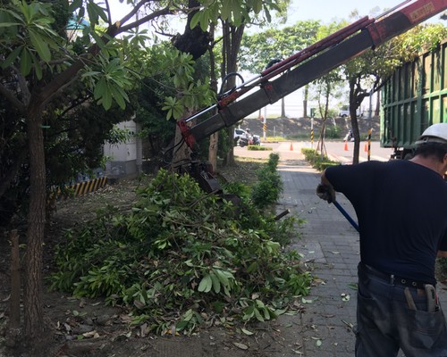 台南鋸樹清運, 台南環境整理, 台南鋸樹, 台南除草鋸樹, 
                    台南代客除草, 台南除(割)草作業, 台南割草, 台南除草, 台南割草整地, 台南除草整地, 台南除草工, 台南整地除草費用, 台南空地割草, 台南整地除草, 
                    台南空地除草