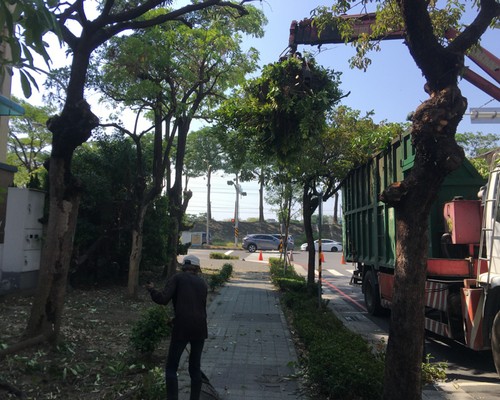 台南中西區鋸樹清運, 台南中西區環境整理, 台南中西區鋸樹, 台南中西區除草鋸樹, 
                    台南中西區代客除草, 台南中西區除(割)草作業, 台南中西區割草, 台南中西區除草, 台南中西區割草整地, 台南中西區除草整地, 台南中西區除草工, 台南中西區整地除草費用, 台南中西區空地割草, 台南中西區整地除草, 
                    台南中西區空地除草