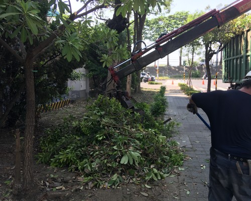 台南鋸樹清運, 台南環境整理, 台南鋸樹, 台南除草鋸樹, 
                    台南代客除草, 台南除(割)草作業, 台南割草, 台南除草, 台南割草整地, 台南除草整地, 台南除草工, 台南整地除草費用, 台南空地割草, 台南整地除草, 
                    台南空地除草
