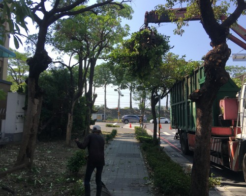 台南中西區鋸樹清運, 台南中西區環境整理, 台南中西區鋸樹, 台南中西區除草鋸樹, 
                    台南中西區代客除草, 台南中西區除(割)草作業, 台南中西區割草, 台南中西區除草, 台南中西區割草整地, 台南中西區除草整地, 台南中西區除草工, 台南中西區整地除草費用, 台南中西區空地割草, 台南中西區整地除草, 
                    台南中西區空地除草