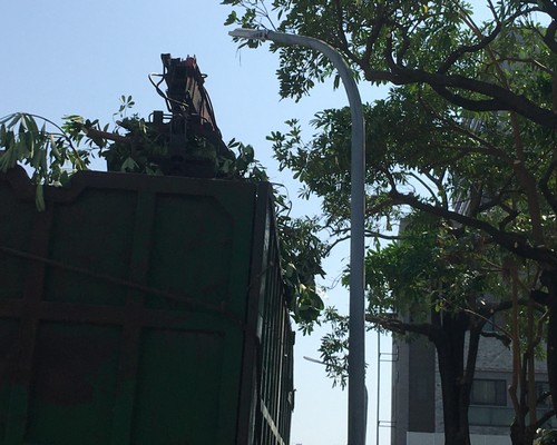 台南鋸樹清運, 台南環境整理, 台南鋸樹, 台南除草鋸樹, 
                    台南代客除草, 台南除(割)草作業, 台南割草, 台南除草, 台南割草整地, 台南除草整地, 台南除草工, 台南整地除草費用, 台南空地割草, 台南整地除草, 
                    台南空地除草