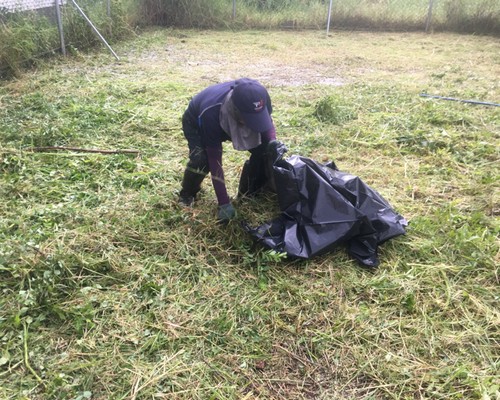 台南善化建地除草, 台南善化建地割草, 台南善化環境清理, 台南善化除草景觀工程, 台南善化重劃土地除草, 台南善化果樹農地除草, 台南善化園區空地除草, 台南善化除草鋸樹, 台南善化墓地清理, 台南善化道路除草, 
    	台南善化圍籬工程除草, 台南善化代客除草, 台南善化除(割)草作業, 台南善化割草, 台南善化除草, 台南善化割草整地, 台南善化除草整地, 台南善化空地除草價格, 台南善化除草工, 台南善化整地除草費用, 
        台南空地割草, 台南整地除草, 台南空地除草