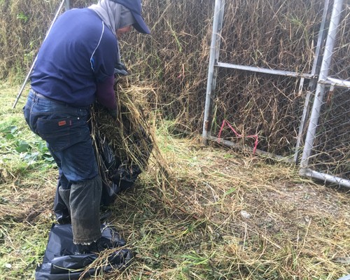 台南建地除草, 台南建地割草, 台南環境清理, 台南除草景觀工程, 台南重劃土地除草, 台南果樹農地除草, 台南園區空地除草, 台南除草鋸樹, 台南墓地清理, 台南道路除草, 
    	台南圍籬工程除草, 台南代客除草, 台南除(割)草作業, 台南割草, 台南除草, 台南割草整地, 台南除草整地, 台南空地除草價格, 台南除草工, 台南整地除草費用, 
        台南空地割草, 台南整地除草, 台南空地除草