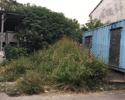 台南割草, 台南除草, 台南割草整地, 台南除草整地, 台南代客除草, 台南空地除草價格, 台南除草工, 台南整地除草費用, 
        台南建地割草, 台南整地除草, 台南建地除草