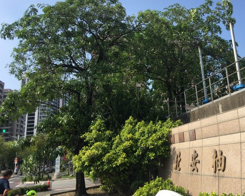 台南樹木修剪, 台南樹木修剪, 台南修剪樹木, 台南建地除草, 台南建地割草, 台南環境清理, 台南除草景觀工程, 台南園區空地除草, 台南除草鋸樹, 台南道路除草, 
    	台南代客除草, 台南除(割)草作業, 台南割草, 台南除草, 台南割草整地, 台南除草整地, 台南空地除草價格, 台南除草工, 台南整地除草費用, 台南空地割草, 台南整地除草, 台南空地除草