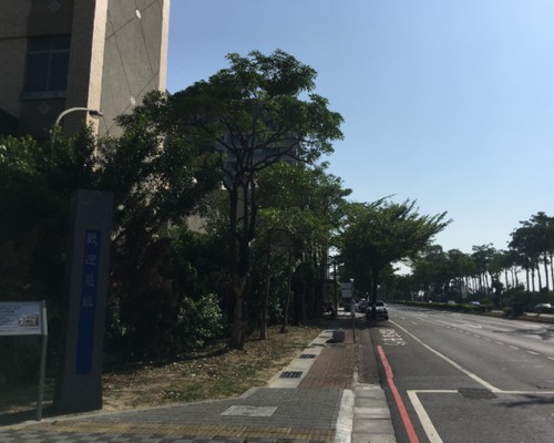 台南樹木修剪, 台南樹木修剪, 台南修剪樹木, 台南建地除草, 台南建地割草, 台南環境清理, 台南除草景觀工程, 台南園區空地除草, 台南除草鋸樹, 台南道路除草, 
    	台南代客除草, 台南除(割)草作業, 台南割草, 台南除草, 台南割草整地, 台南除草整地, 台南空地除草價格, 台南除草工, 台南整地除草費用, 台南空地割草, 台南整地除草, 台南空地除草