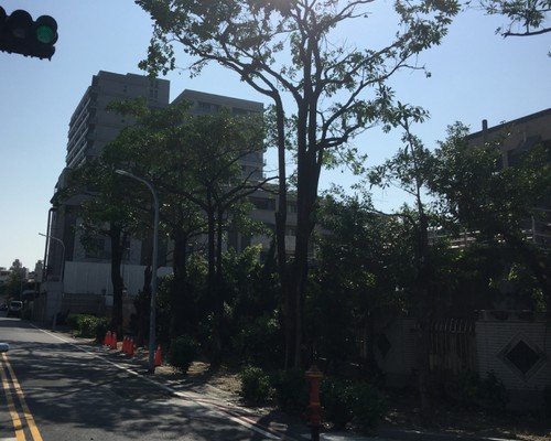 台南樹木修剪, 台南樹木修剪, 台南修剪樹木, 台南建地除草, 台南建地割草, 台南環境清理, 台南除草景觀工程, 台南園區空地除草, 台南除草鋸樹, 台南道路除草, 
    	台南代客除草, 台南除(割)草作業, 台南割草, 台南除草, 台南割草整地, 台南除草整地, 台南空地除草價格, 台南除草工, 台南整地除草費用, 台南空地割草, 台南整地除草, 台南空地除草