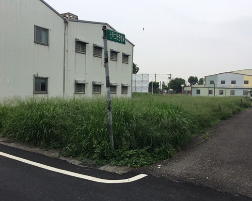 台南割草, 台南除草, 台南割草整地, 台南除草整地, 台南代客除草, 台南空地除草價格, 台南除草工, 台南整地除草費用, 
        台南建地割草, 台南整地除草, 台南建地除草