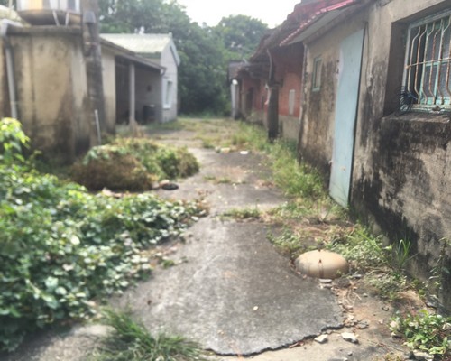 台南樹木修剪, 台南樹木修剪, 台南修剪樹木, 台南建地除草, 台南建地割草, 台南環境清理, 台南除草景觀工程, 台南園區空地除草, 台南除草鋸樹, 台南道路除草, 
    	台南代客除草, 台南除(割)草作業, 台南割草, 台南除草, 台南割草整地, 台南除草整地, 台南空地除草價格, 台南除草工, 台南整地除草費用, 台南空地割草, 台南整地除草, 台南空地除草