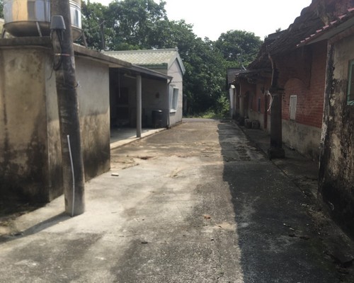 台南樹木修剪, 台南樹木修剪, 台南修剪樹木, 台南建地除草, 台南建地割草, 台南環境清理, 台南除草景觀工程, 台南園區空地除草, 台南除草鋸樹, 台南道路除草, 
    	台南代客除草, 台南除(割)草作業, 台南割草, 台南除草, 台南割草整地, 台南除草整地, 台南空地除草價格, 台南除草工, 台南整地除草費用, 台南空地割草, 台南整地除草, 台南空地除草