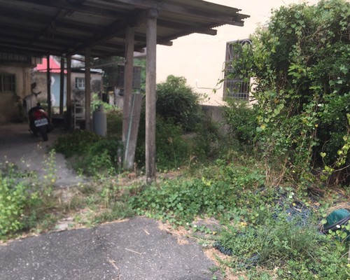 台南樹木修剪, 台南樹木修剪, 台南修剪樹木, 台南建地除草, 台南建地割草, 台南環境清理, 台南除草景觀工程, 台南園區空地除草, 台南除草鋸樹, 台南道路除草, 
    	台南代客除草, 台南除(割)草作業, 台南割草, 台南除草, 台南割草整地, 台南除草整地, 台南空地除草價格, 台南除草工, 台南整地除草費用, 台南空地割草, 台南整地除草, 台南空地除草