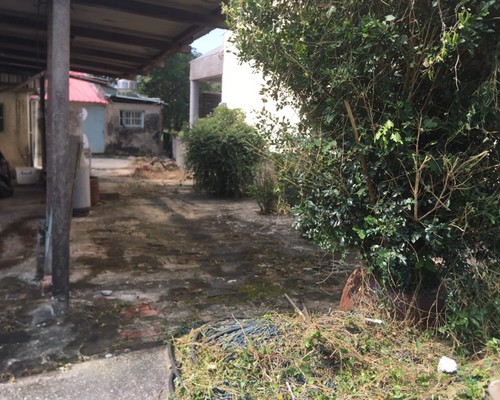 台南關廟樹木修剪, 台南關廟樹木修剪, 台南關廟修剪樹木, 台南關廟建地除草, 台南關廟建地割草, 台南關廟環境清理, 台南關廟除草景觀工程, 台南關廟園區空地除草, 台南關廟除草鋸樹, 台南關廟道路除草, 
    	台南關廟代客除草, 台南關廟除(割)草作業, 台南關廟割草, 台南關廟除草, 台南關廟割草整地, 台南關廟除草整地, 台南關廟空地除草價格, 台南關廟除草工, 台南關廟整地除草費用, 台南關廟空地割草, 台南關廟整地除草, 台南關廟空地除草