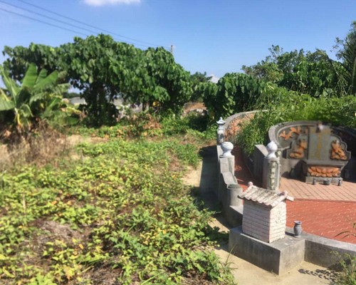 台南定期除草, 台南除草工程, 台南墓園除草, 台南樹木移除, 台南除草整地