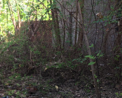 台南除草, 台南環境整理, 台南鋸樹, 台南除草鋸樹, 
                    台南代客除草, 台南除(割)草作業, 台南割草, 台南除草, 台南割草整地, 台南除草整地, 台南除草工, 台南整地除草費用, 台南空地割草, 台南整地除草, 
                    台南空地除草